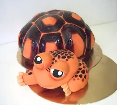 TORT ŻÓŁW